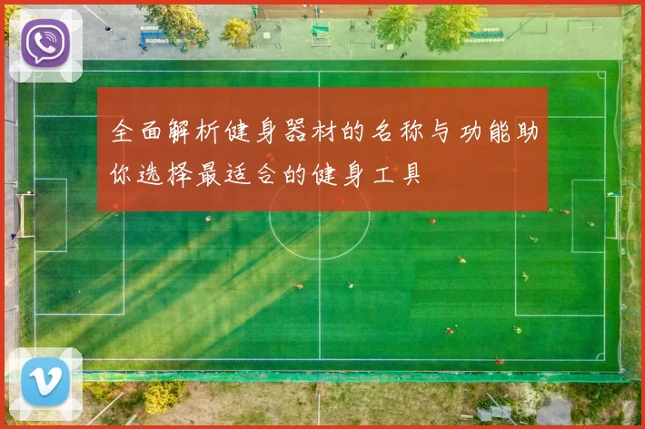 全面解析健身器材的名称与功能助你选择最适合的健身工具