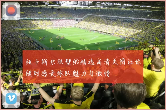 纽卡斯尔联壁纸精选高清美图让你随时感受球队魅力与激情