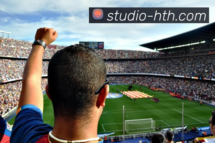 华体会平台生态图